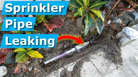 fix irrigation pipe leak|How to Fix an Irrigation Leak in 5 Easy Steps